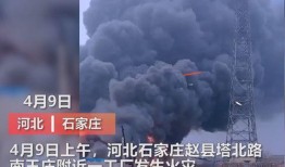 粤东事件爆料视频大全集,揭秘真相与争议