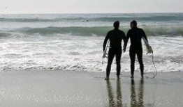 欲盖弄潮在线观看神马,揭秘网络热剧背后的风云变幻